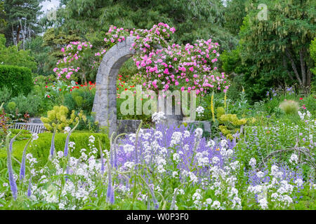 Rose arbor, giardino di rose, VanDusen Botanical Garden, Vancouver, British Columbia, Canada Foto Stock