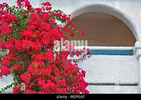 Bouganvillea fiorisce tra questi eclettici negozi nel centro cittadino di Palm Springs, California. Foto Stock