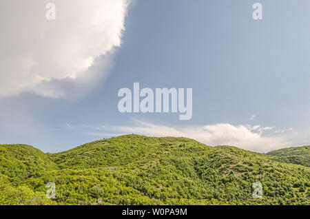 È raro vedere questo molto verde in Utah. Tutte le foglie è stato più verde e più abbondanti di quest'anno. Foto Stock