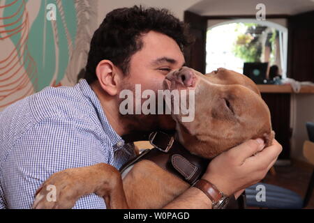 L'uomo baciando un cane pitbull Foto Stock