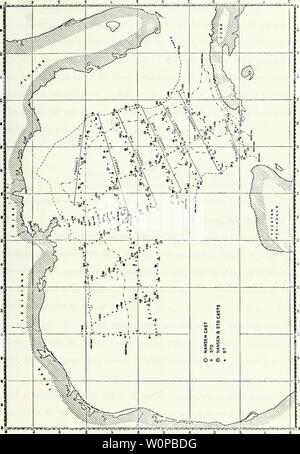 Immagine di archivio da pagina 36 di una descrizione delle caratteristiche fisiche. Una descrizione delle caratteristiche fisiche caratteristiche oceanografiche della parte orientale del Golfo del Messico, Agosto 1968. descriptionofphy00schn Anno: 1969 Foto Stock