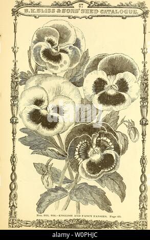 Immagine di archivio da pagina 66 del catalogo descrittivo di una scelta. Catalogo descrittivo di una scelta raccolta di vegetali, agricole e sementi di fiori, gladiolus, gigli e altri estate bulbi descriptivecatal1880bkbl Anno: 1880 Foto Stock