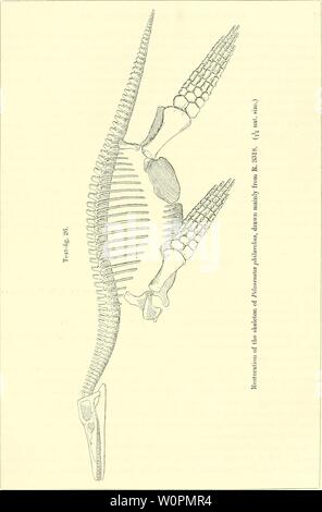 Immagine di archivio da pagina 90 di un catalogo descrittivo del. Un catalogo descrittivo dei rettili marini della Oxford argilla. Basato sulla collezione di Leeds nel British Museum di storia naturale), Londra .. descriptivecatal02brit Anno: 1910