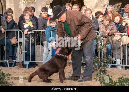 Uzes, Francia: 20 gennaio 2019: Il 2019 Uzes Sagra del tartufo, al Place aux Herbes dove persone celebrano, gusto, acquistare e conoscere il tartufo Foto Stock