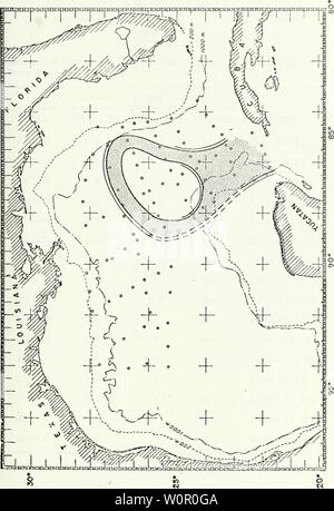 Immagine di archivio da pagina 188 di una descrizione delle caratteristiche fisiche. Una descrizione delle caratteristiche fisiche caratteristiche oceanografiche della parte orientale del Golfo del Messico, Agosto 1968. descriptionofphy00schn Anno: 1969 73 Foto Stock