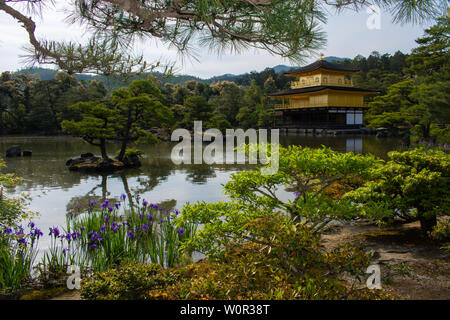 Kinkaku-ji Zen tempio buddista, Kyoto in Giappone. Uno dei molti siti di interesse storico conosciuto anche come Tempio d'oro, circondato dal bellissimo lago e giardini Foto Stock