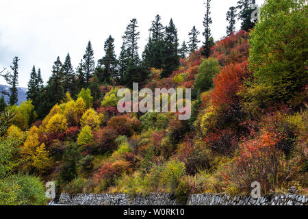 Autunno scenario di montagna Mengpen Foto Stock