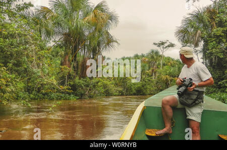 La giungla di fiume Orinoco in Venezuela occidentale Foto Stock
