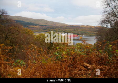 Olio Finnart terminale. Ardgartan penisola. Il Loch Lomond e Cowal modo. Cowal peninsula. Highlands. La Scozia. Regno Unito Foto Stock