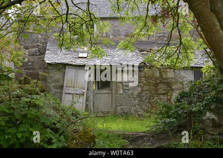 Vista di una fattoria abbandonati edificio in Cornovaglia (UK) Circondato da lussureggiante fogliame degli alberi. Foto Stock