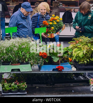 St. Pölten, Niederösterreich, Österreich, Wochenmarkt. Bild zeigt Wochenmarktbesucher beim Blumenkauf. Foto Stock
