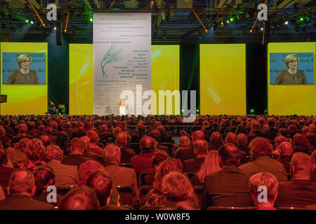 IGW 2019 - Cerimonia di apertura della International Green Week Berlin 2019 - Julia Klöckner, Ministro federale dell'Agricoltura Foto Stock