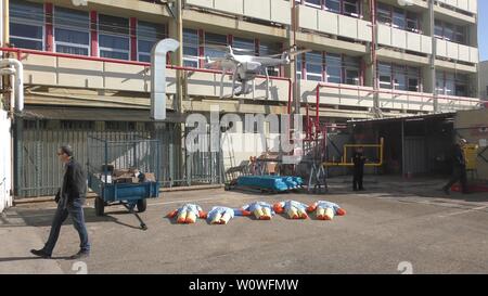 Manichini intossicato da tossici che perde gas medicali pronto per essere salvato dai vigili del fuoco in ospedale Haemek durante il trapano. Afula, Israele, 30 Gennaio 2017 Foto Stock