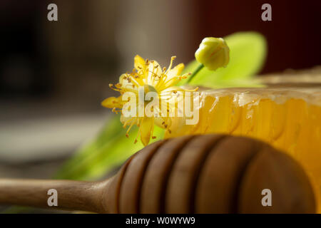 Blocco di miele di favo con fiore e utensile di legno di erogazione per il miele in un angolo basso vista ravvicinata di ombre Foto Stock