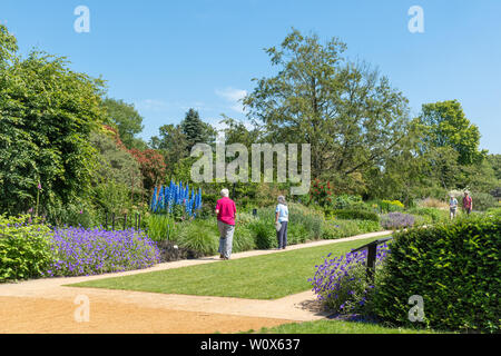 Sir Harold Hillier giardini (Arboretum) in una giornata di sole durante i mesi di giugno, Hampshire, Regno Unito. Il Centenario confine con una varietà di fiori d'estate. Foto Stock