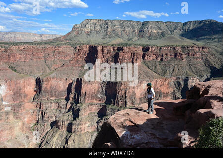 Giovane donna gode la vista spettacolare dalla Toroweap si affacciano nel Parco Nazionale del Grand Canyon, Arizona. Foto Stock