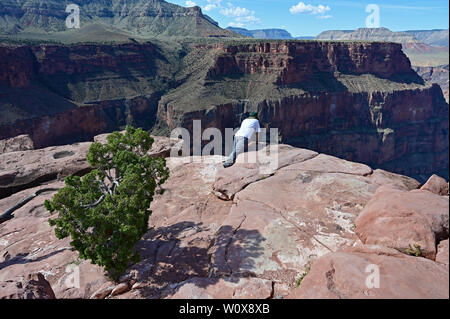 Giovane donna gode la vista spettacolare dalla Toroweap si affacciano nel Parco Nazionale del Grand Canyon, Arizona. Foto Stock