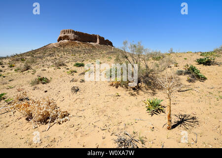 Uzbekistan,le rovine più grandi castelli di antica Khorezm - Ayaz - Kala Foto Stock