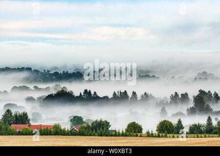Nebbia di mattina in un paesaggio rurale visualizza Foto Stock