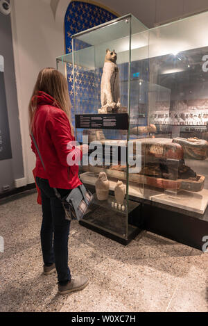 Gatto egiziano mummia, vista posteriore di una giovane donna che guarda un antico gatto egiziano sarcofago in Oslo Museo Storico, Norvegia. Foto Stock