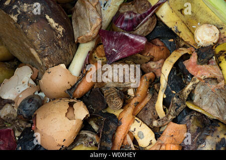 I rifiuti alimentari in giardino compost bin. Regno Unito Foto Stock