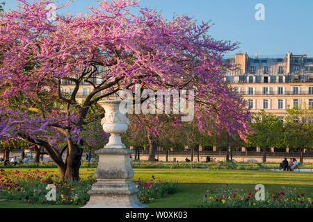 I parigini godendo di Jardin des Tuileries su un pomeriggio di primavera, Parigi, Francia Foto Stock