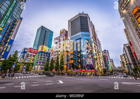 Tokyo - 18 Maggio 2019: il centro di quartiere di Akihabara a Tokyo in Giappone Foto Stock