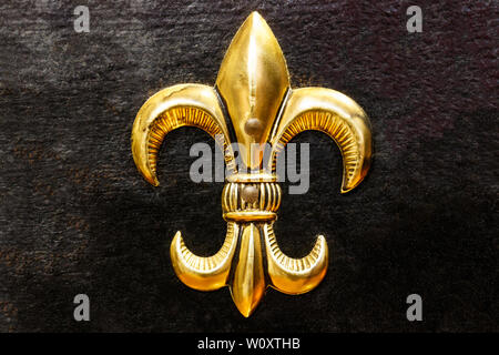 Oro Fleur de Lis dipinte su sfondo nero II Foto Stock