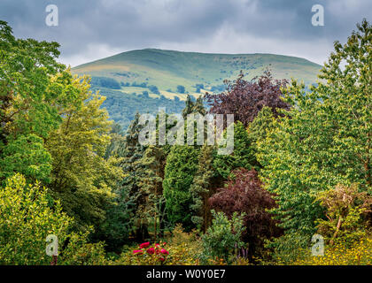 Bella Linda Vista Gardens in fiore ad Abergavenny. Foto Stock