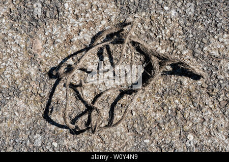 Lo spago su asfalto Foto Stock