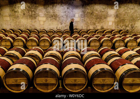 Chateau du Tertre nella regione Arsac della Gironde, Francia. Un Margaux Grand Cru Classe produttrice di vino. Le cantine con botti di vino. Foto Stock