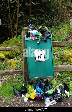 Traboccante dog poo bin al ponte Fingle,Devon nel Regno Unito campagna. Foto Stock