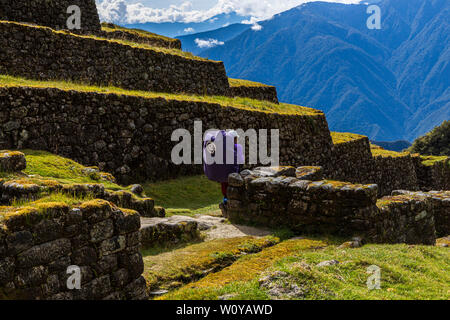 Puyupatamarca rovine Inca, Inca Trail, Day 3, Pacay Mayo Alto tramite Abra de Racay Runku pass e rovine, Sayacmarca rovine, Puyupatamarca rovine e Winay Foto Stock