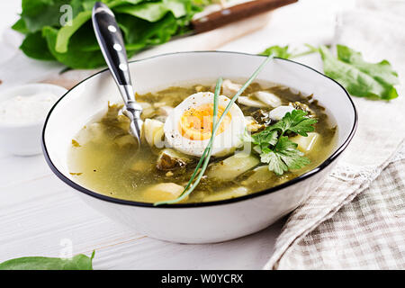 Zuppa verde di acetosella in bianco ciotola. Foto Stock