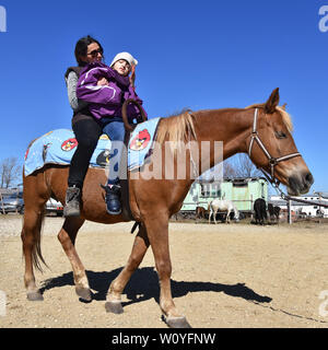 Equitazione La terapia per bambini portatori di handicap. Ragazza con paralisi cerebrale su un cavallo con il suo terapista Foto Stock