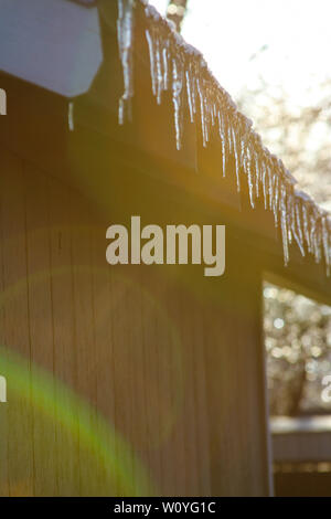Newton, KS. 11 Aprile, 2013 Una insolita tempesta di ghiaccio hits Kansas durante la primavera, copertura vegetale emergenti la vita con una lastra di ghiaccio. Foto Stock