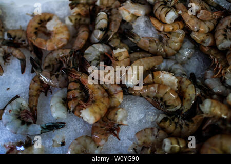 Vendita di gamberetti, percado, a base di pesce di mare. Il cibo del mare. destinazione turistica mercato Puerto Peñasco, Sonora, Messico .. (Foto: Luis Gutierrez /NortePhoto.com) Venta de camaron, percado, mariscos de la pesca del dia.comida del mar. mercado del destino turistico di Puerto Peñasco, Sonora, Messico. Foto Stock