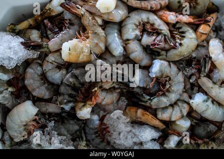 Vendita di gamberetti, percado, a base di pesce di mare. Il cibo del mare. destinazione turistica mercato Puerto Peñasco, Sonora, Messico .. (Foto: Luis Gutierrez /NortePhoto.com) Venta de camaron, percado, mariscos de la pesca del dia.comida del mar. mercado del destino turistico di Puerto Peñasco, Sonora, Messico. Foto Stock