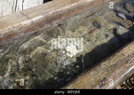 Legno abbeveratoio con acqua fresca Foto Stock
