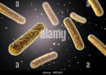 Faecalibacterium prausnitzii batteri, illustrazione Foto Stock