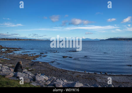 Donna che guarda sul lago Taupo all mountain range cercando Foto Stock