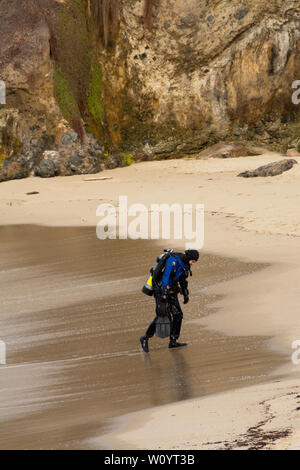 Laguna Beach, CA / STATI UNITI D'America - 10 Marzo 2019: Scuba Diver camminando sulla spiaggia a Wood's Cove in Laguna Beach, CA. Foto Stock