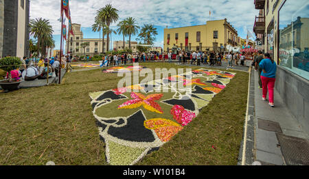 La Orotava, Tenerife, Spagna - 27 giugno 2019. Bellissimi tappeti floreali in La Orotava durante la festa del Corpus Christi. Famosi eventi religiosi e la concorrenza di f Foto Stock