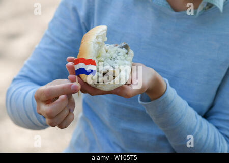 Tradizionale olandese e sandwich di prua con le aringhe in una mano Foto Stock