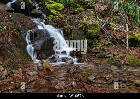 Cascate nel Parco Nazionale di Great Smoky Mountains, Tennessee, Stati Uniti d'America Foto Stock