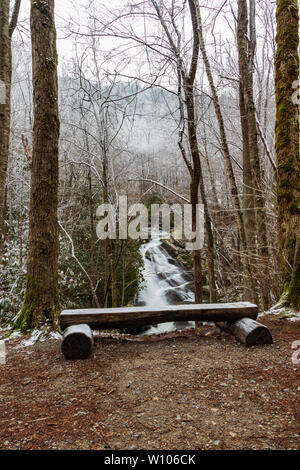 Banco nei boschi che si affaccia sul polo centrale piccolo fiume, Great Smoky Mountains National Park, Tennessee, Stati Uniti d'America Foto Stock