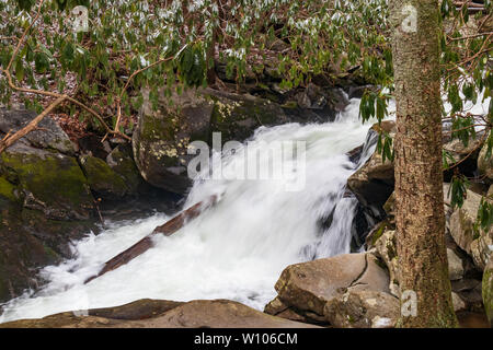 Polo Centrale piccolo fiume scena invernale, Great Smoky Mountains National Park, Tennessee, Stati Uniti d'America Foto Stock