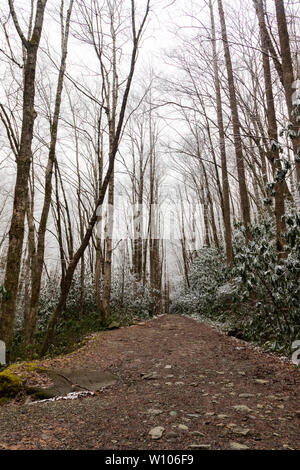 Polo Centrale sentiero scena invernale, Great Smoky Mountains National Park, Tennessee, Stati Uniti d'America Foto Stock