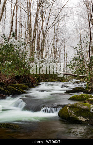 Polo Centrale piccolo fiume scena invernale, Great Smoky Mountains National Park, Tennessee, Stati Uniti d'America Foto Stock