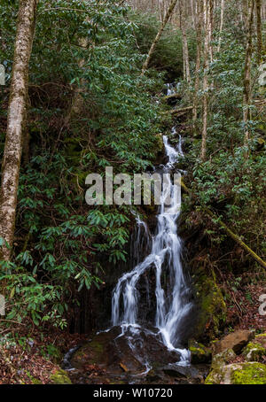 Polo Centrale piccolo fiume e piccolo flusso a cascata nel Parco Nazionale di Great Smoky Mountains Tennessee Foto Stock